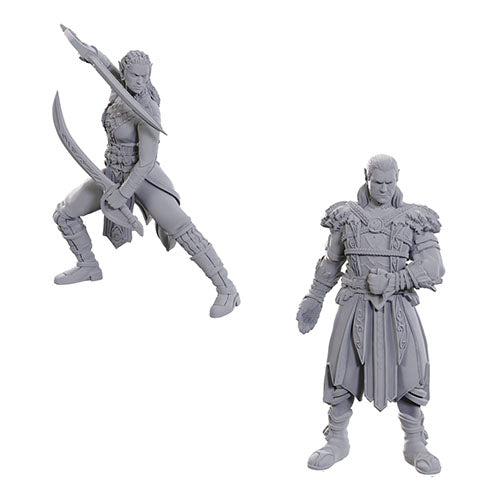 Wizkids - D&D Nolzurs Marvelous Miniatures: Special Edition Baldurs Gate 3 - Jaheira & Halsin