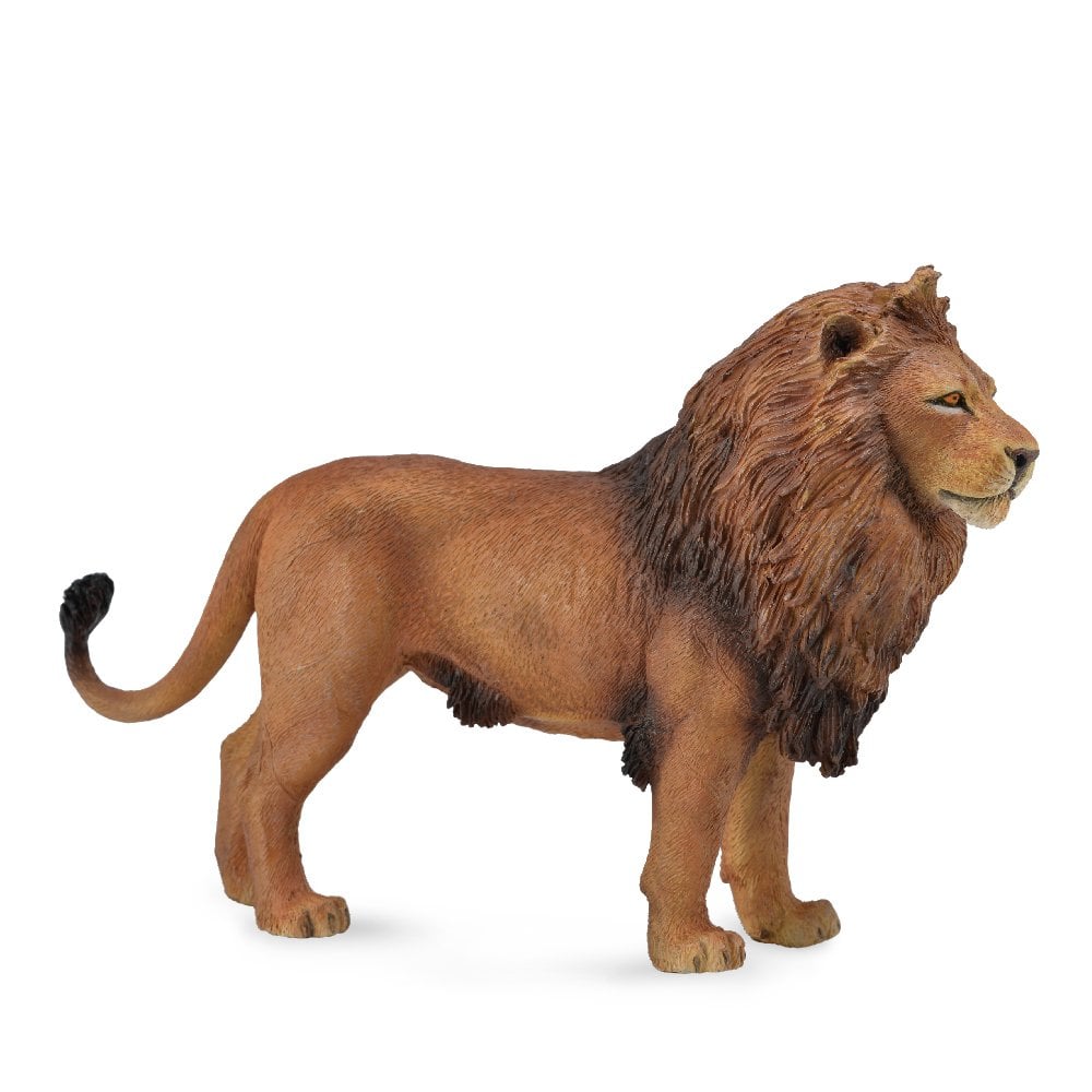 African Lion - Beanie Games