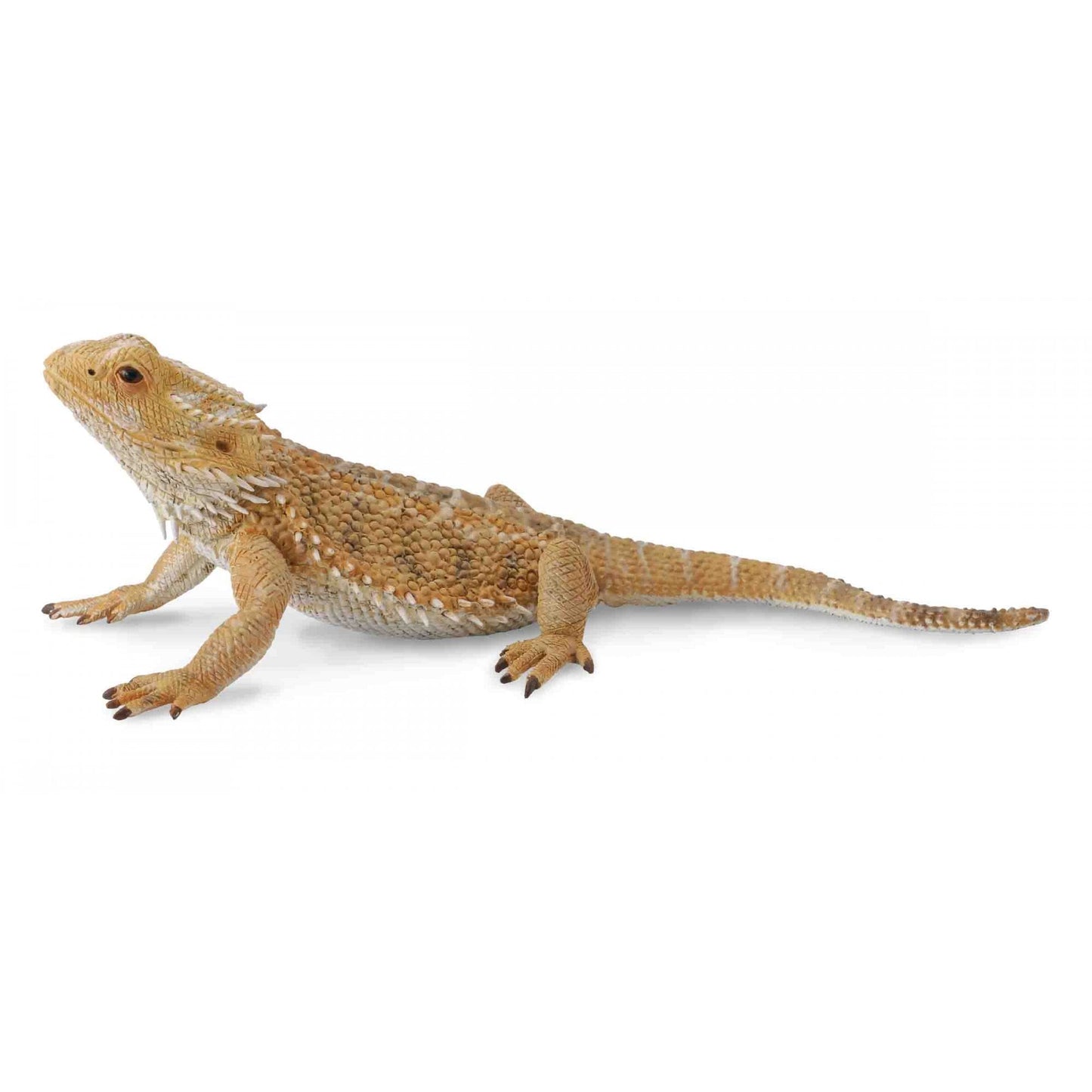 Bearded Dragon Lizard - Beanie Games