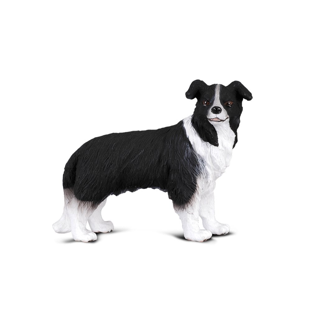 Border Collie - Beanie Games