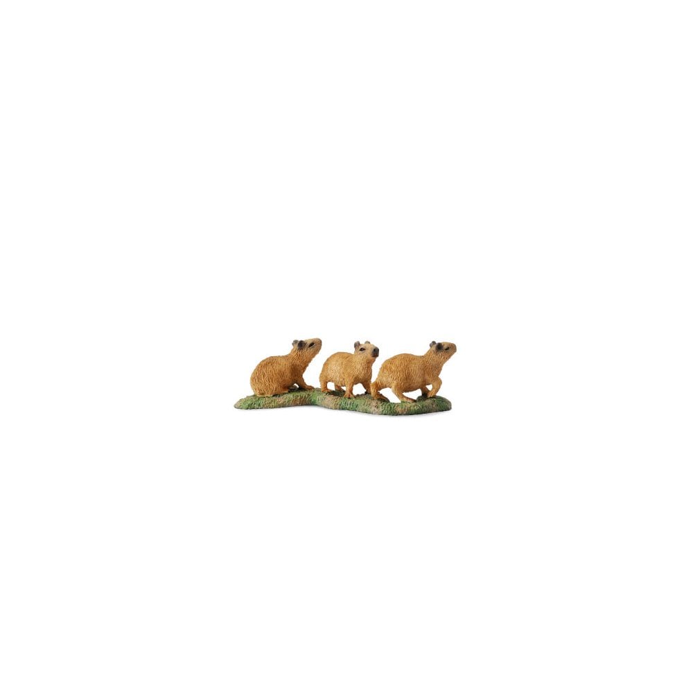 Capybara Babies - Beanie Games
