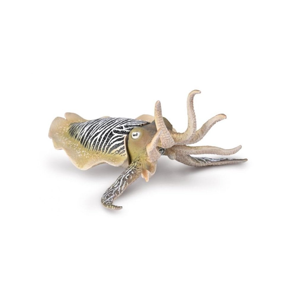 Common Cuttlefish - Beanie Games