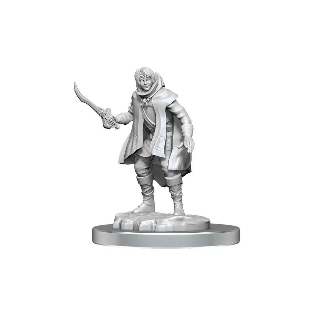 Elf Rogue & Half - Elf Rogue Protege: D&D Nolzur's Marvelous Unpainted Miniatures - Beanie Games