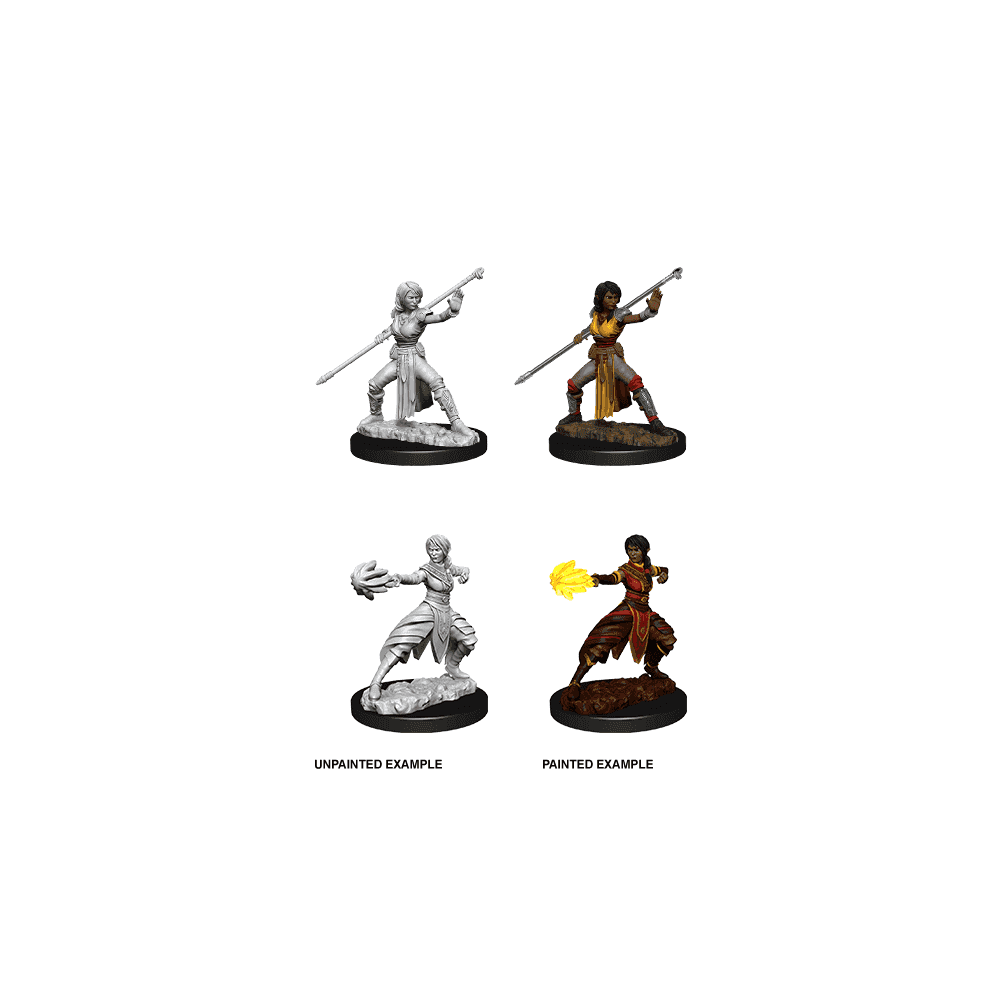 Female Half - Elf Monk: D&D Nolzur's Marvelous Unpainted Miniatures (W10) - Beanie Games