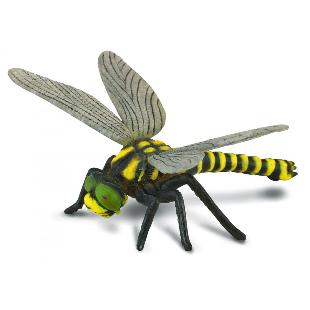 Golden - Ringed Dragonfly - Beanie Games