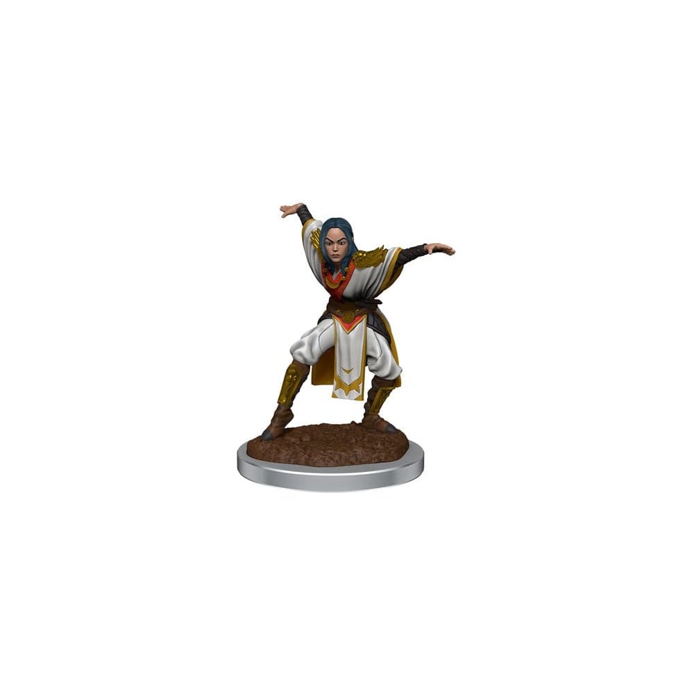 Half - Elf Monk Female: Pathfinder Deep Cuts Unpainted Miniatures (W21) - Beanie Games