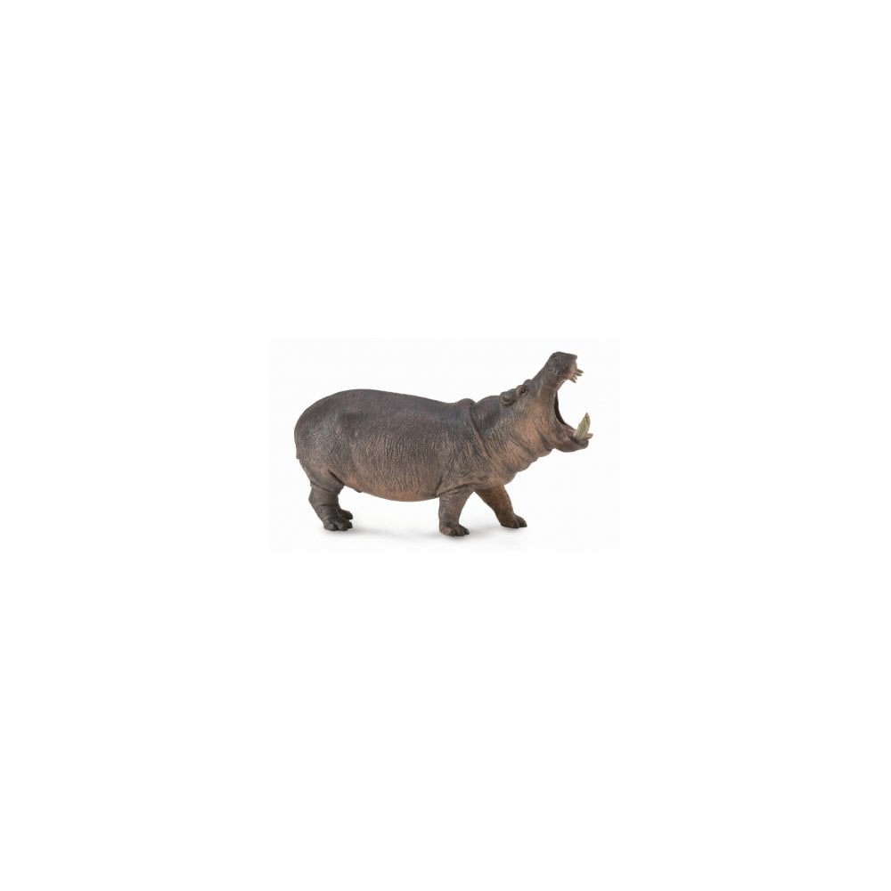 Hippopotamus - Beanie Games