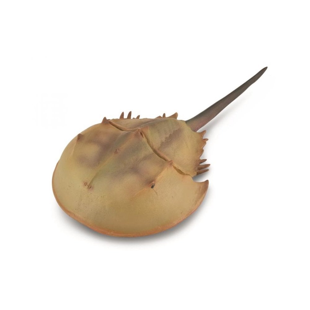 Horseshoe Crab - Beanie Games