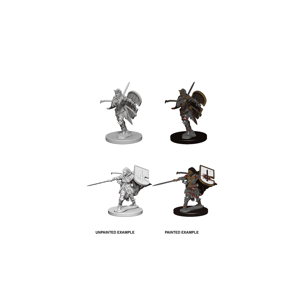 Human Female Paladin: Pathfinder Deep Cuts Unpainted Miniatures (W1) - Beanie Games