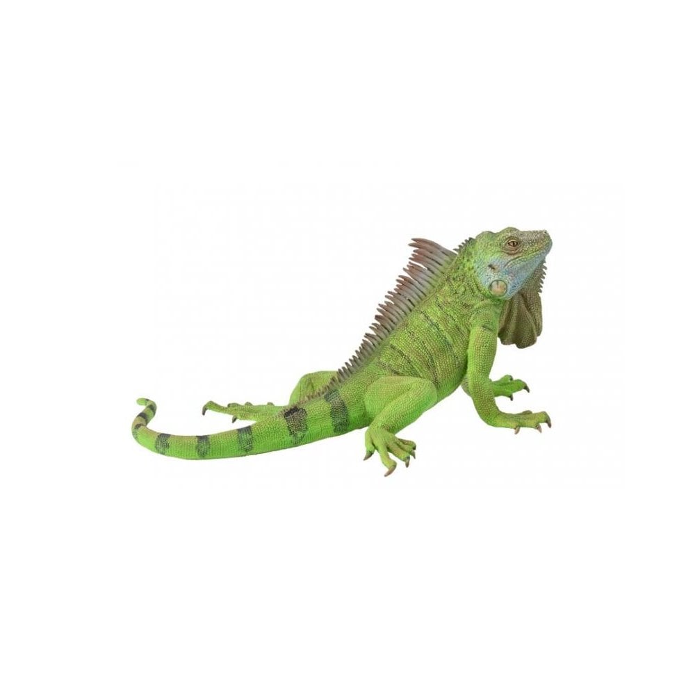 Iguana - Beanie Games