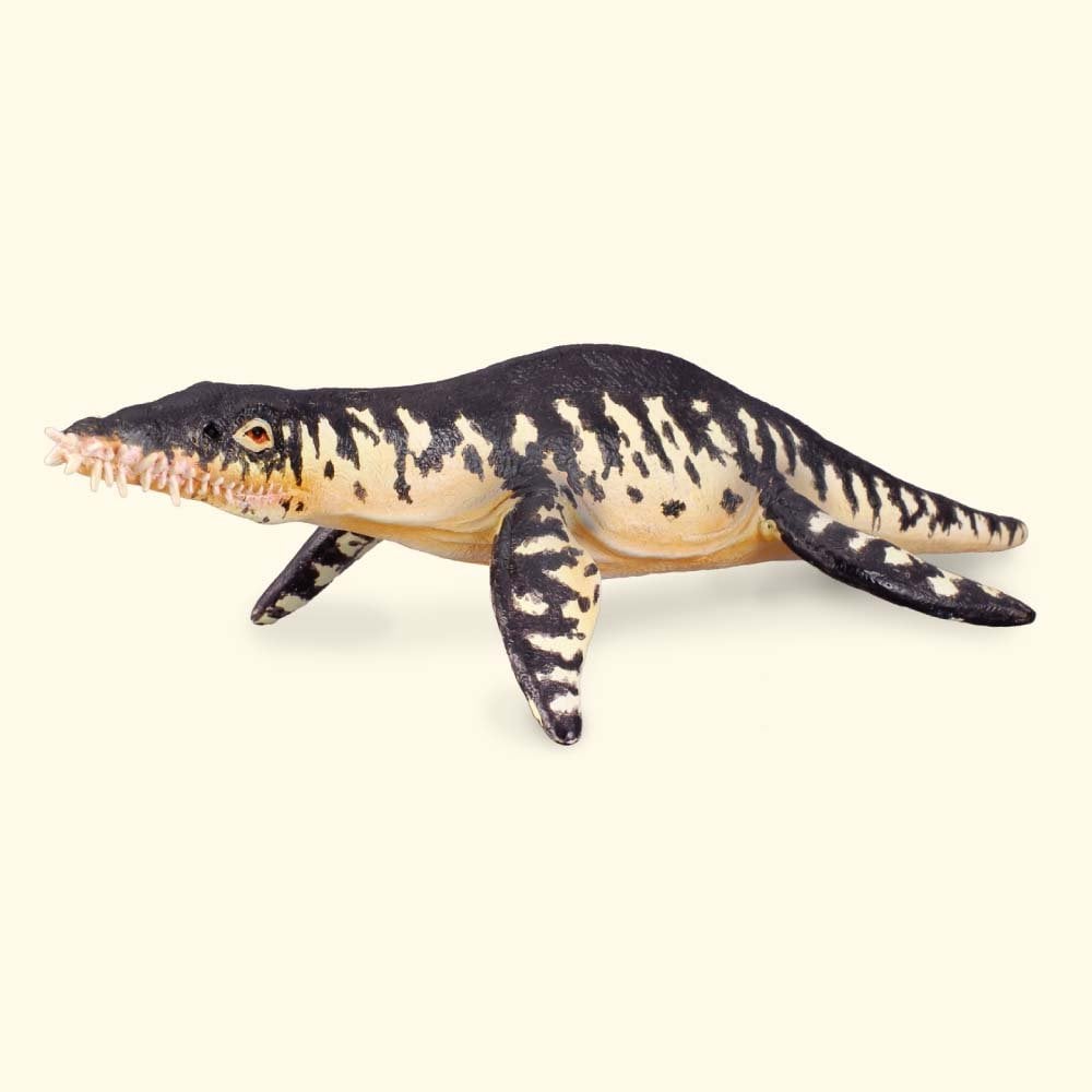 Liopleurodon - Beanie Games