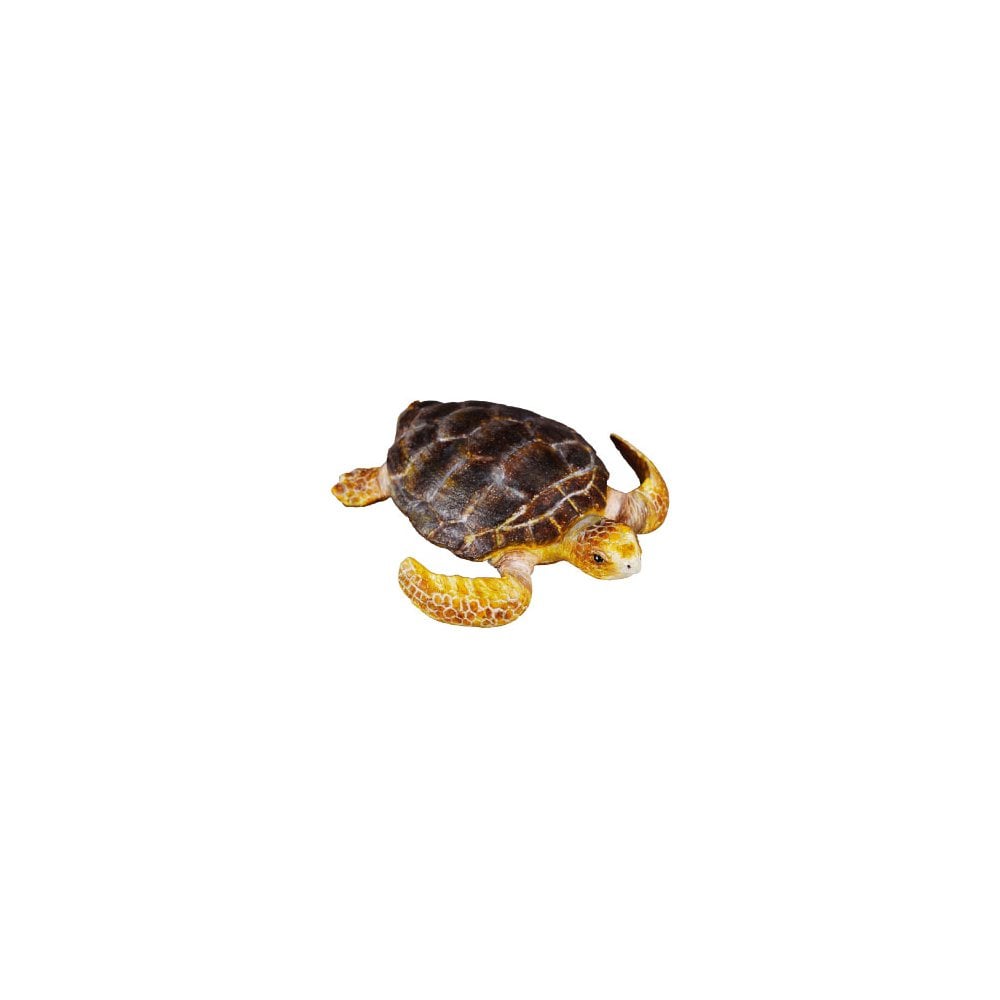 Loggerhead Turtle - Beanie Games