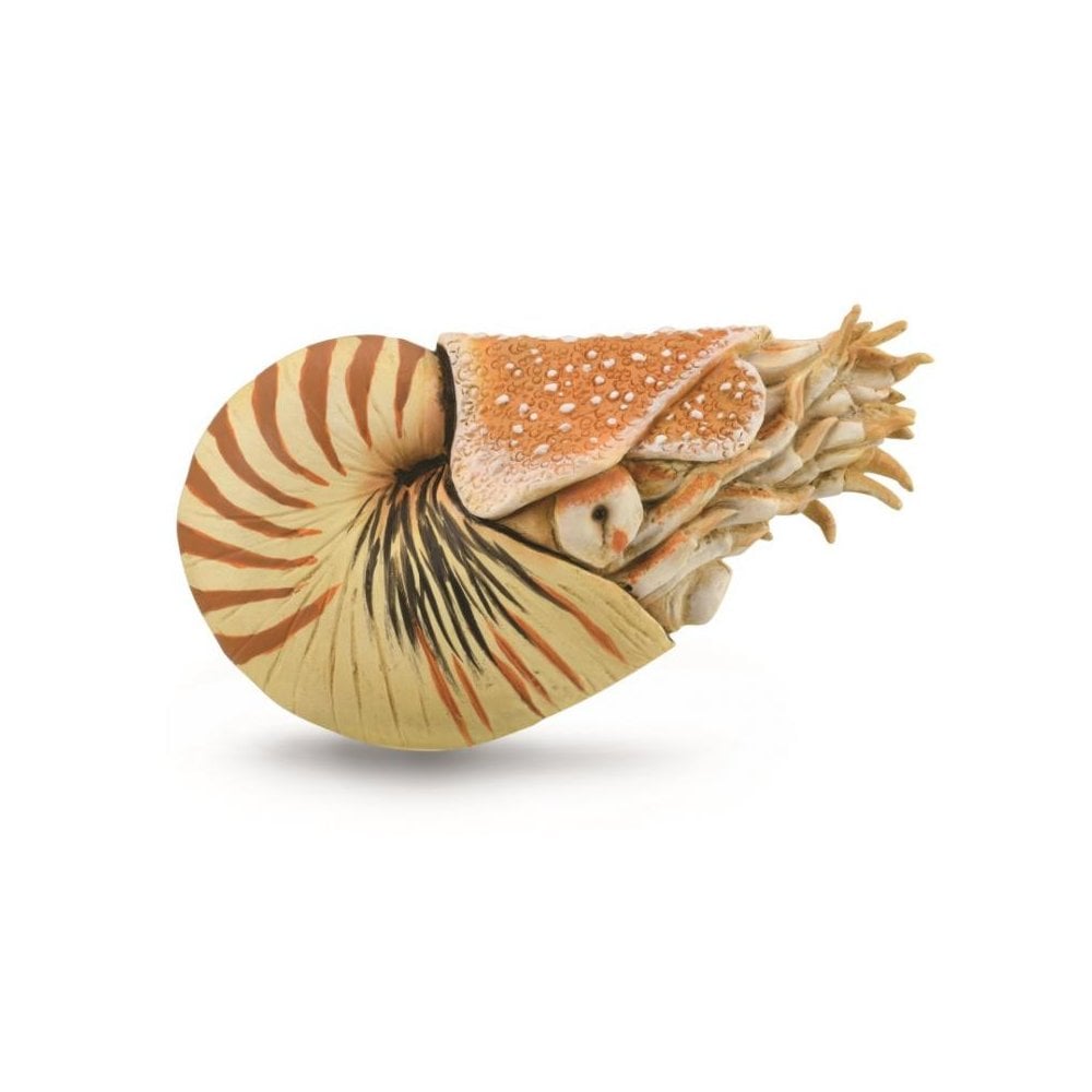 Nautilus Pompilius - Beanie Games