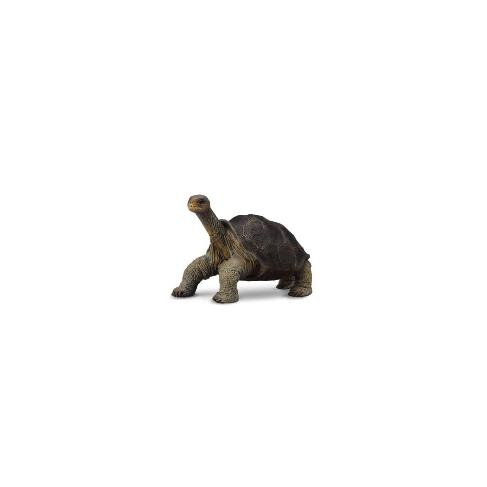 Pinta Island Tortoise (In memory of Lonesome George) - Beanie Games