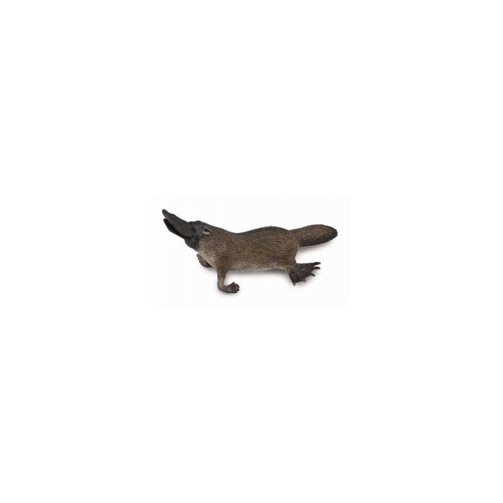 Platypus - Beanie Games
