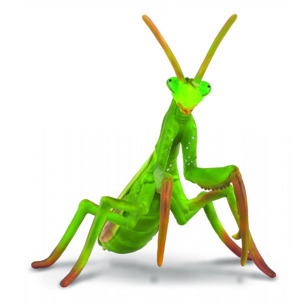 Praying Mantis - Beanie Games