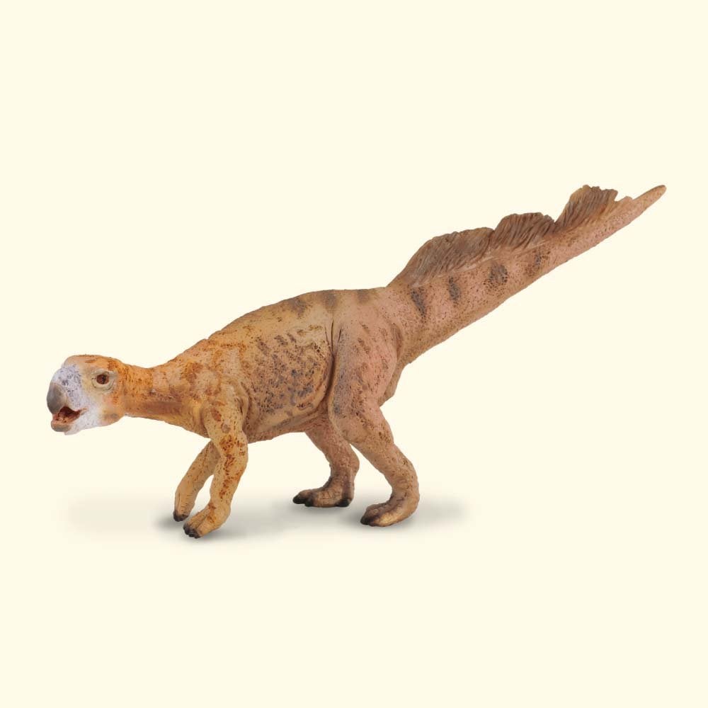 Psittacosaurus - Beanie Games