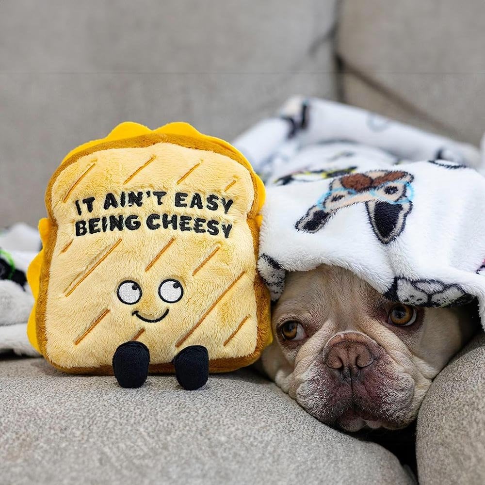 Punchkins - It Ain't Easy Being Cheesy - Beanie Games