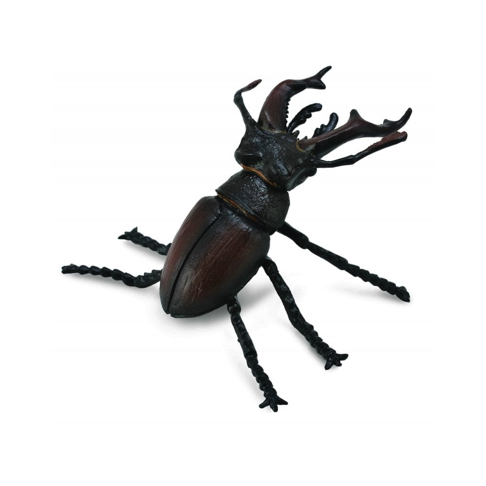 Stag Beetle - Beanie Games