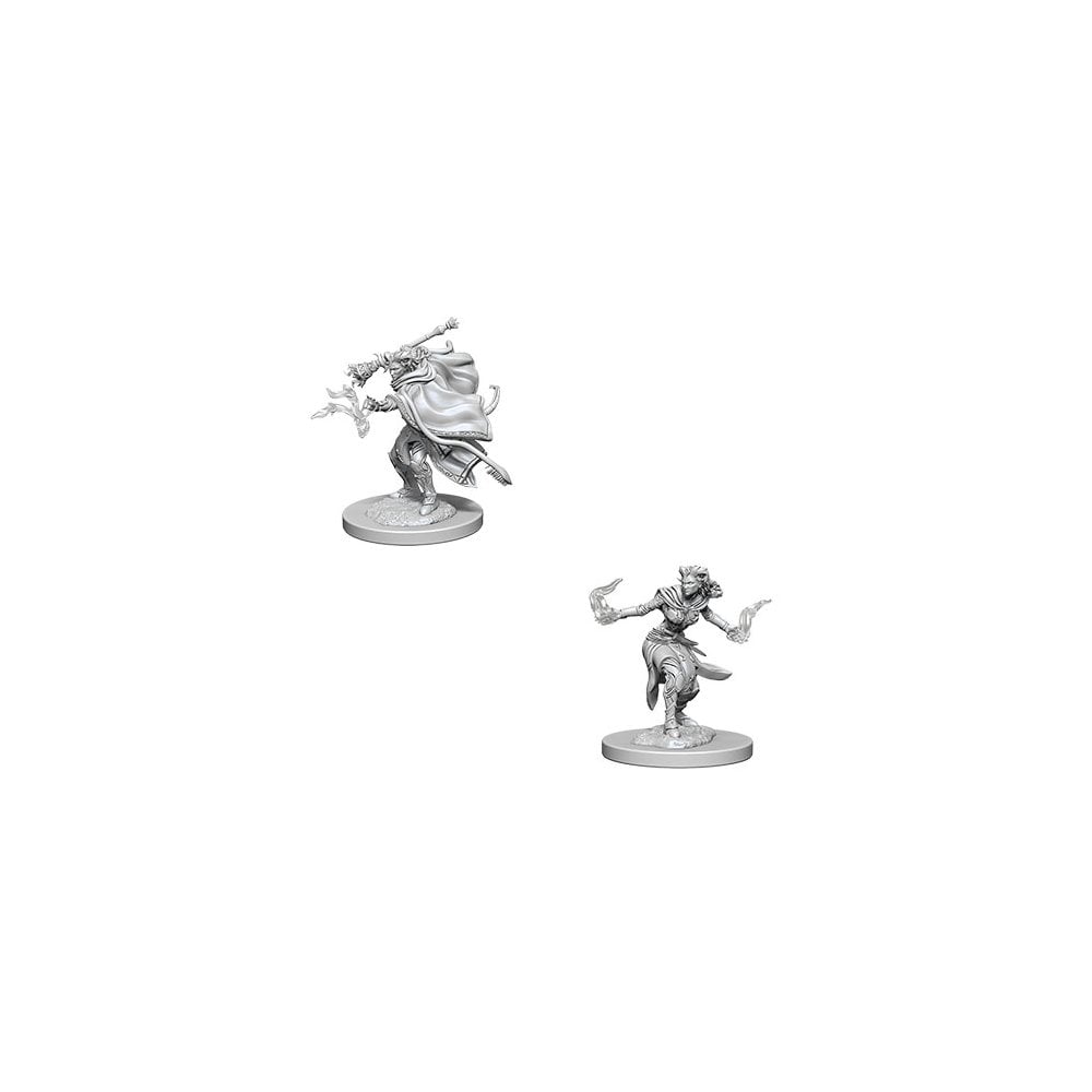 WizKids - D&D Nolzurs Marvelous Miniatures: Female Tiefling Warlock - Wave 6 - Beanie Games