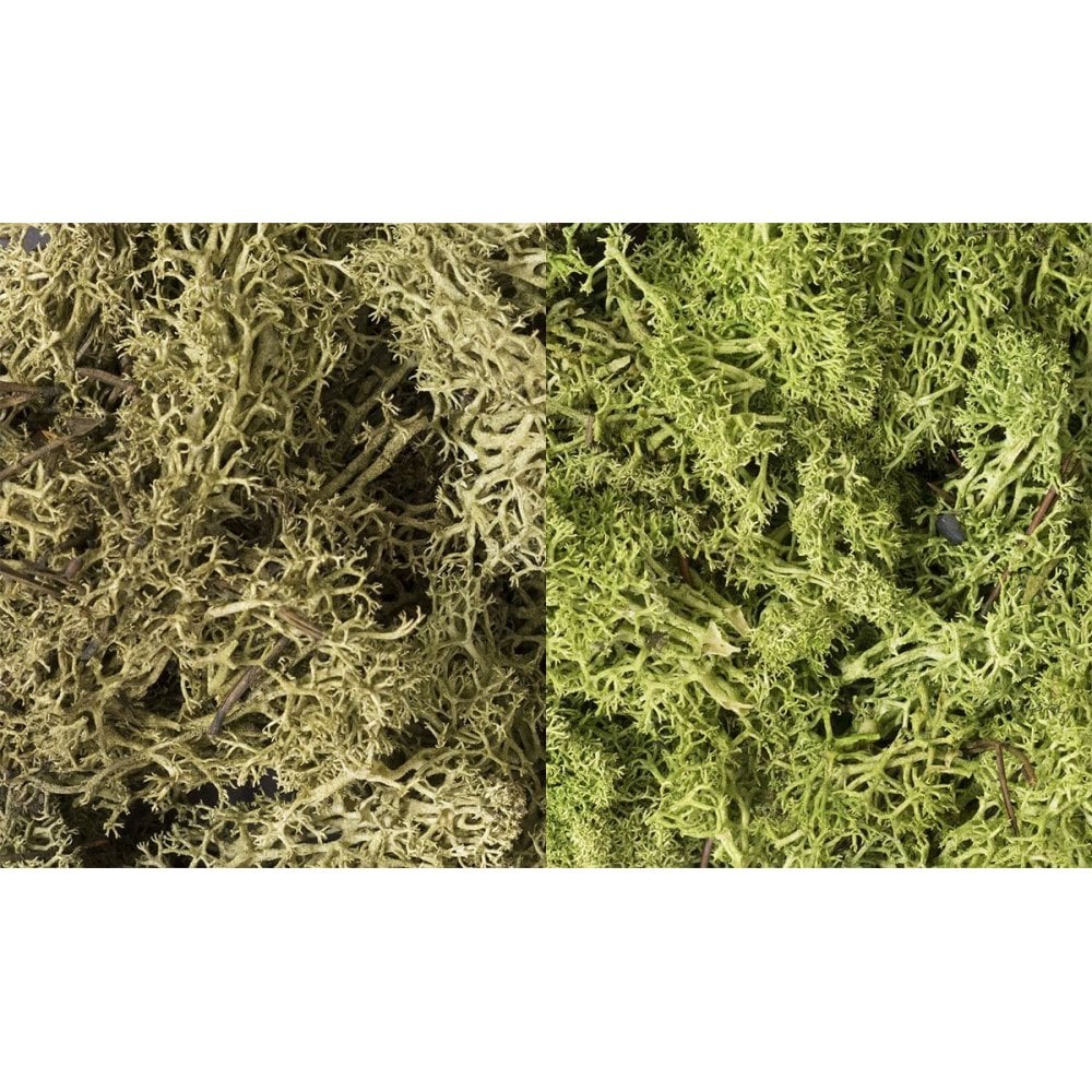 Woodland Scenics: Light Green Mix Lichen - Beanie Games