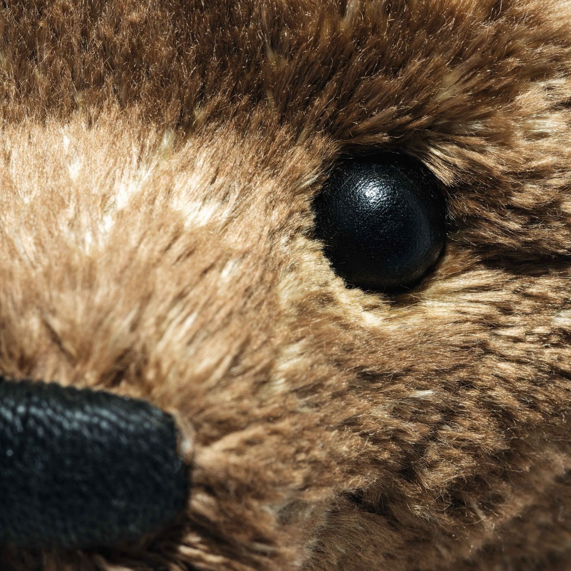 55PB Teddy Bear - Beanie Games