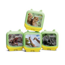 Animal World - Animals of Africa (Set of 4 Clever Pocket Tonies) - Beanie Games