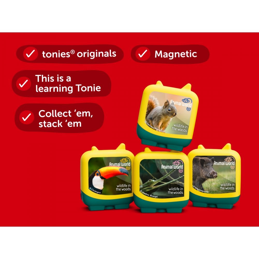 Animal World: Wildlife in the Woods (Set of 4 Clever Pocket Tonies) - Beanie Games