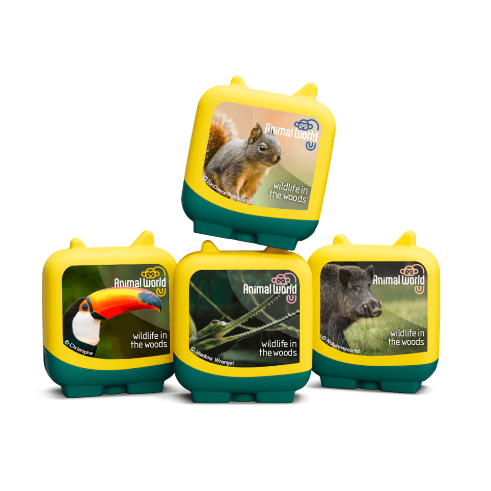 Animal World Wildlife Woods