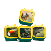 Animal World: Wildlife in the Woods (Set of 4 Clever Pocket Tonies) - Beanie Games