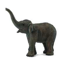 Asian Elephant Calf - Beanie Games