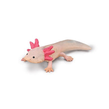 Axolotl - Beanie Games