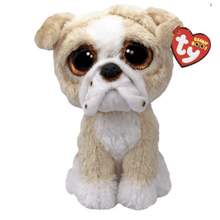 Beanie Boo - Pooch Bulldog (Regular) - Beanie Games
