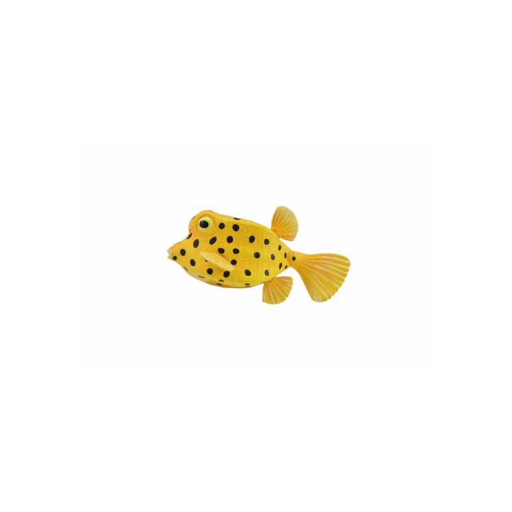 Boxfish - Beanie Games