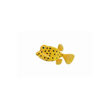 Boxfish - Beanie Games