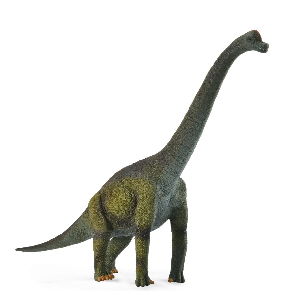 Brachiosaurus - Beanie Games