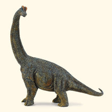 Brachiosaurus - Deluxe 1:40 Scale - Beanie Games