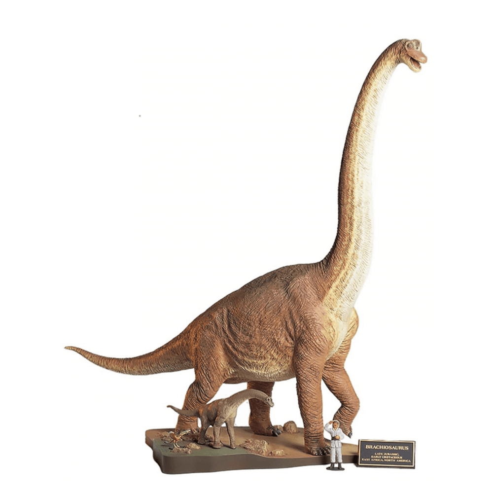 Brachiosaurus Diorama Set - Beanie Games