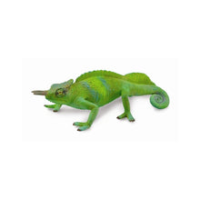Cameroon Sailfin Chameleon - Beanie Games