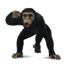 Chimpanzee Male - Beanie Games