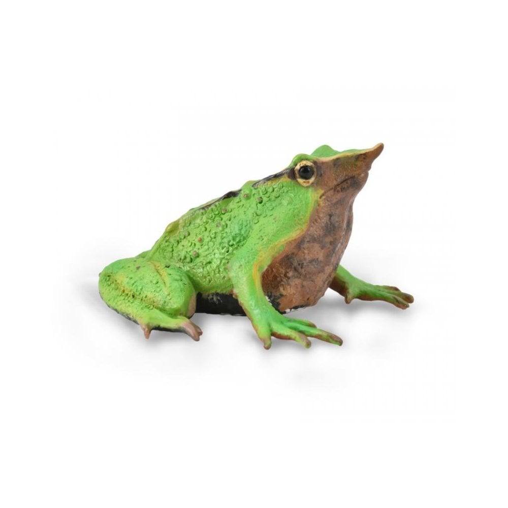 Darwin's Frog - Beanie Games