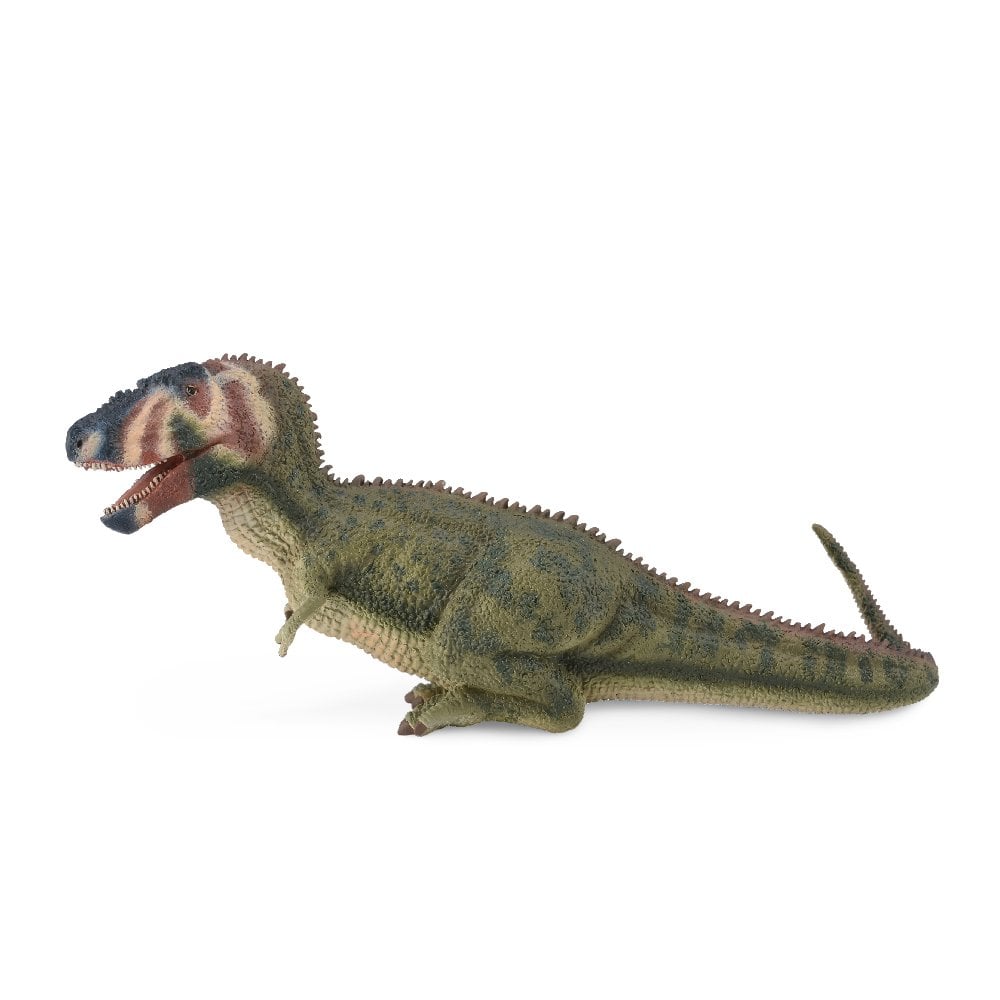 Daspletosaurus - Beanie Games