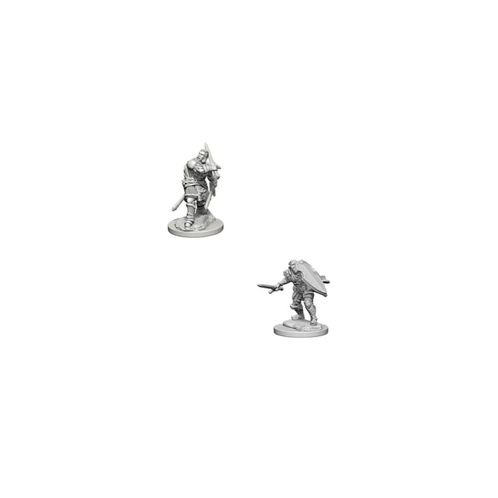 D&D Nolzurs Marvelous Miniatures: Human Male Paladin - Wave 3 - Beanie Games