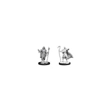 D&D Nolzur's Marvelous Unpainted Miniatures: Human Druid Male - Beanie Games