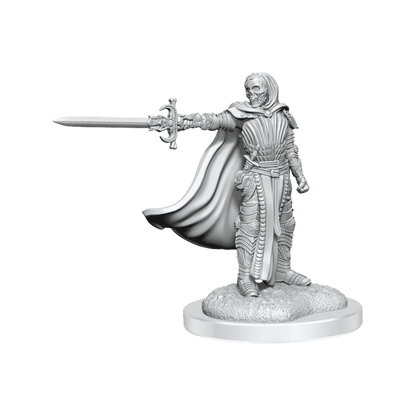 Death Knights: D&D Nolzur's Marvellous Unpainted Miniatures - Beanie Games