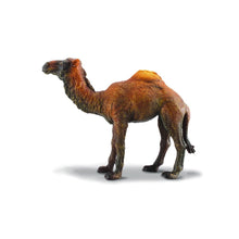 Dromedary Camel - Beanie Games
