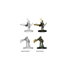 Elf Female Druid: D&D Nolzur's Marvelous Miniatures - Beanie Games