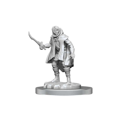 Elf Rogue & Half - Elf Rogue Protege: D&D Nolzur's Marvelous Unpainted Miniatures - Beanie Games