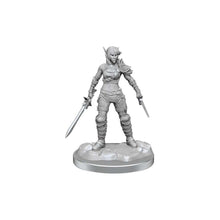 Elf Rogue & Half - Elf Rogue Protege: D&D Nolzur's Marvelous Unpainted Miniatures - Beanie Games