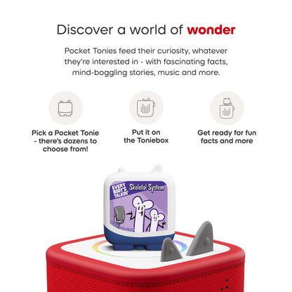 Every Body’s Talking (Set of 4 Clever Pocket Tonies) - Beanie Games